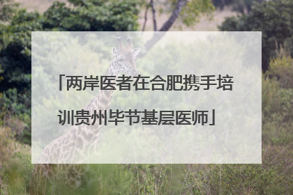 两岸医者在合肥携手培训贵州毕节基层医师