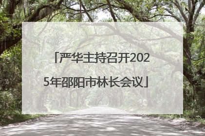 严华主持召开2025年邵阳市林长会议
