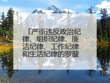 严重违反政治纪律、组织纪律、廉洁纪律、工作纪律和生活纪律的罗璇，非法收受他人巨额财物