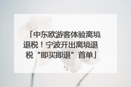 中东欧游客体验离境退税！宁波开出离境退税“即买即退”首单
