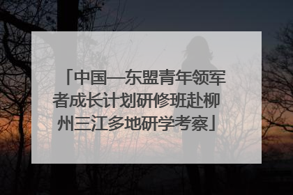 中国—东盟青年领军者成长计划研修班赴柳州三江多地研学考察