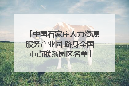 中国石家庄人力资源服务产业园 跻身全国重点联系园区名单