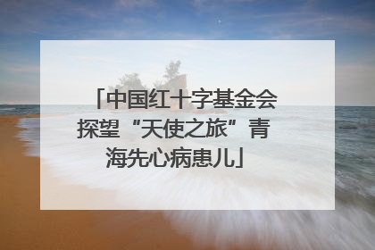中国红十字基金会探望“天使之旅”青海先心病患儿