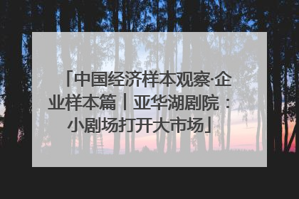 中国经济样本观察·企业样本篇︱亚华湖剧院：小剧场打开大市场