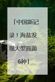 中国新记录！海盐发现大型真菌6种