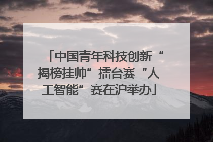 中国青年科技创新“揭榜挂帅”擂台赛“人工智能”赛在沪举办