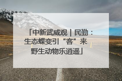 中新武威观｜民勤：生态蝶变引“客”来 野生动物乐逍遥