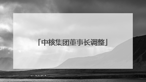 中核集团董事长调整