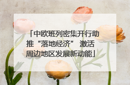 中欧班列密集开行助推“落地经济” 激活周边地区发展新动能