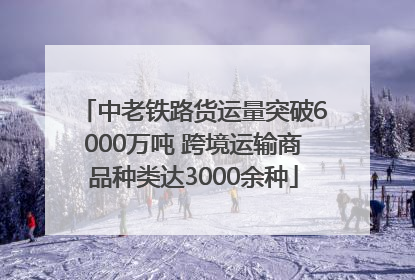 中老铁路货运量突破6000万吨 跨境运输商品种类达3000余种