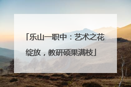 乐山一职中：艺术之花绽放，教研硕果满枝