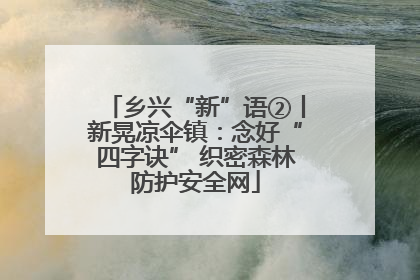 乡兴“新”语②丨新晃凉伞镇：念好“四字诀” 织密森林防护安全网