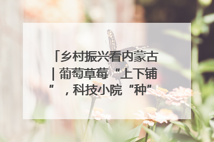 乡村振兴看内蒙古｜葡萄草莓“上下铺”，科技小院“种”出三倍效益