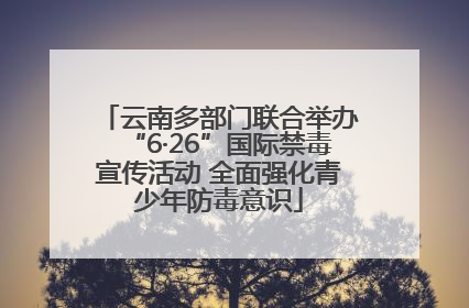 云南多部门联合举办“6·26”国际禁毒宣传活动 全面强化青少年防毒意识