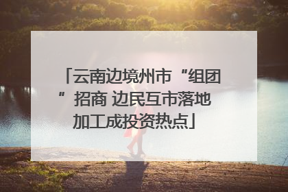 云南边境州市“组团”招商 边民互市落地加工成投资热点