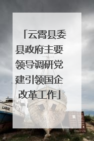 云霄县委县政府主要领导调研党建引领国企改革工作