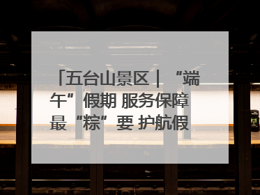 五台山景区｜“端午”假期 服务保障最“粽”要 护航假期“不打烊”