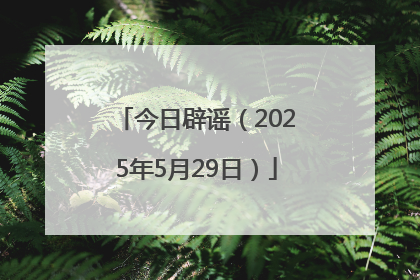 今日辟谣（2025年5月29日）