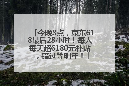 今晚8点，京东618最后28小时！每人每天超6180元补贴，错过等明年！