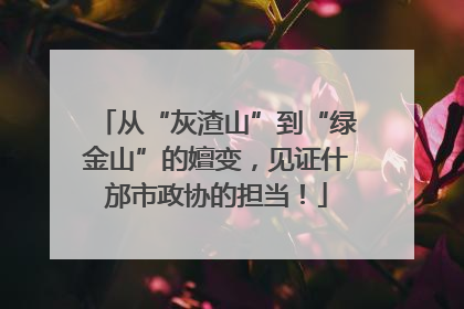 从“灰渣山”到“绿金山”的嬗变，见证什邡市政协的担当！