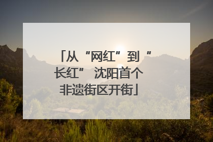 从“网红”到“长红” 沈阳首个非遗街区开街