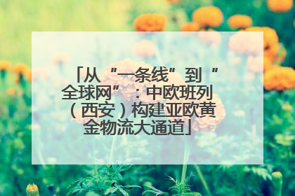 从“一条线”到“全球网”：中欧班列（西安）构建亚欧黄金物流大通道