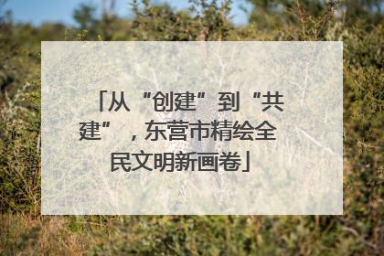 从“创建”到“共建”，东营市精绘全民文明新画卷