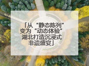 从“静态陈列”变为“动态体验” 湖北打造沉浸式非遗盛宴