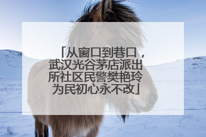 从窗口到巷口，武汉光谷茅店派出所社区民警樊艳玲为民初心永不改