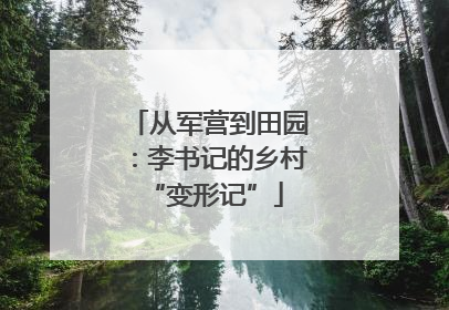 从军营到田园：李书记的乡村 “变形记”