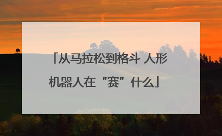从马拉松到格斗 人形机器人在“赛”什么