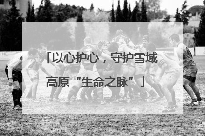 以心护心，守护雪域高原“生命之脉”