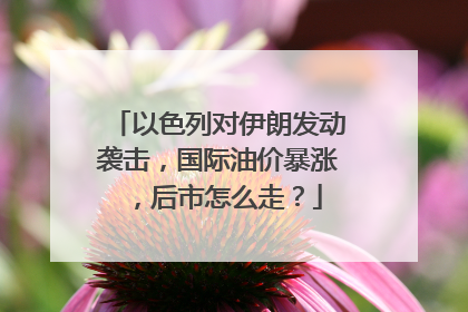 以色列对伊朗发动袭击，国际油价暴涨，后市怎么走？
