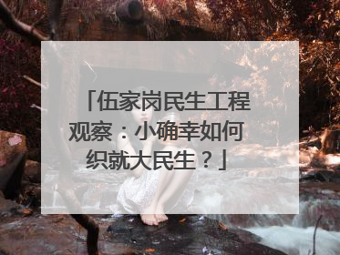 伍家岗民生工程观察：小确幸如何织就大民生？