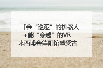 会“巡逻”的机器人+能“穿越”的VR 来西博会德阳馆感受古蜀文明与现代智造的时空对话｜西博视界