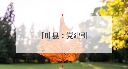 叶县：党建引领高效能 绘就乡村新图景