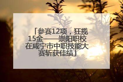 参赛12项，狂揽15金——崇阳职校在咸宁市中职技能大赛斩获佳绩