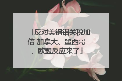 反对美钢铝关税加倍 加拿大、墨西哥、欧盟反应来了