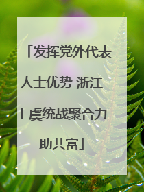 发挥党外代表人士优势 浙江上虞统战聚合力助共富