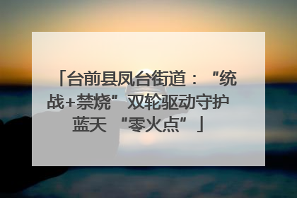 台前县凤台街道：“统战+禁烧”双轮驱动守护蓝天 “零火点”