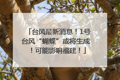 台风最新消息！1号台风“蝴蝶”或将生成！可能影响福建！