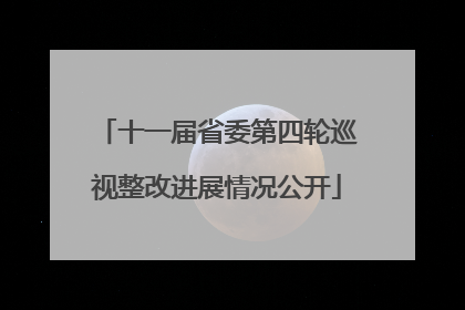 十一届省委第四轮巡视整改进展情况公开
