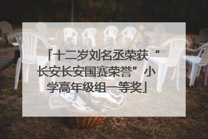 十二岁刘名丞荣获“长安长安国赛荣誉”小学高年级组一等奖