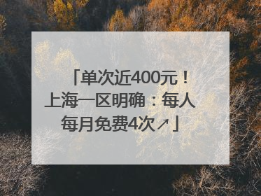 单次近400元！上海一区明确：每人每月免费4次↗