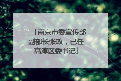南京市委宣传部副部长张政，已任高淳区委书记