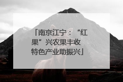 南京江宁：“红果”兴农果丰收 特色产业助振兴