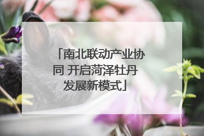 南北联动产业协同 开启菏泽牡丹发展新模式