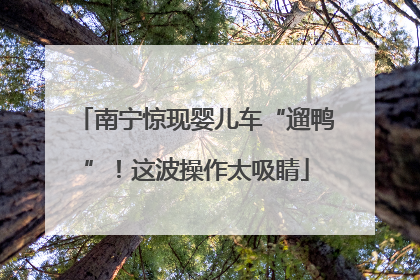 南宁惊现婴儿车“遛鸭”！这波操作太吸睛