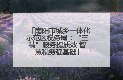 南阳市城乡一体化示范区税务局：“三精”服务提质效 智慧税务强基础