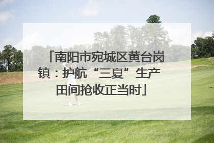 南阳市宛城区黄台岗镇：护航“三夏”生产 田间抢收正当时